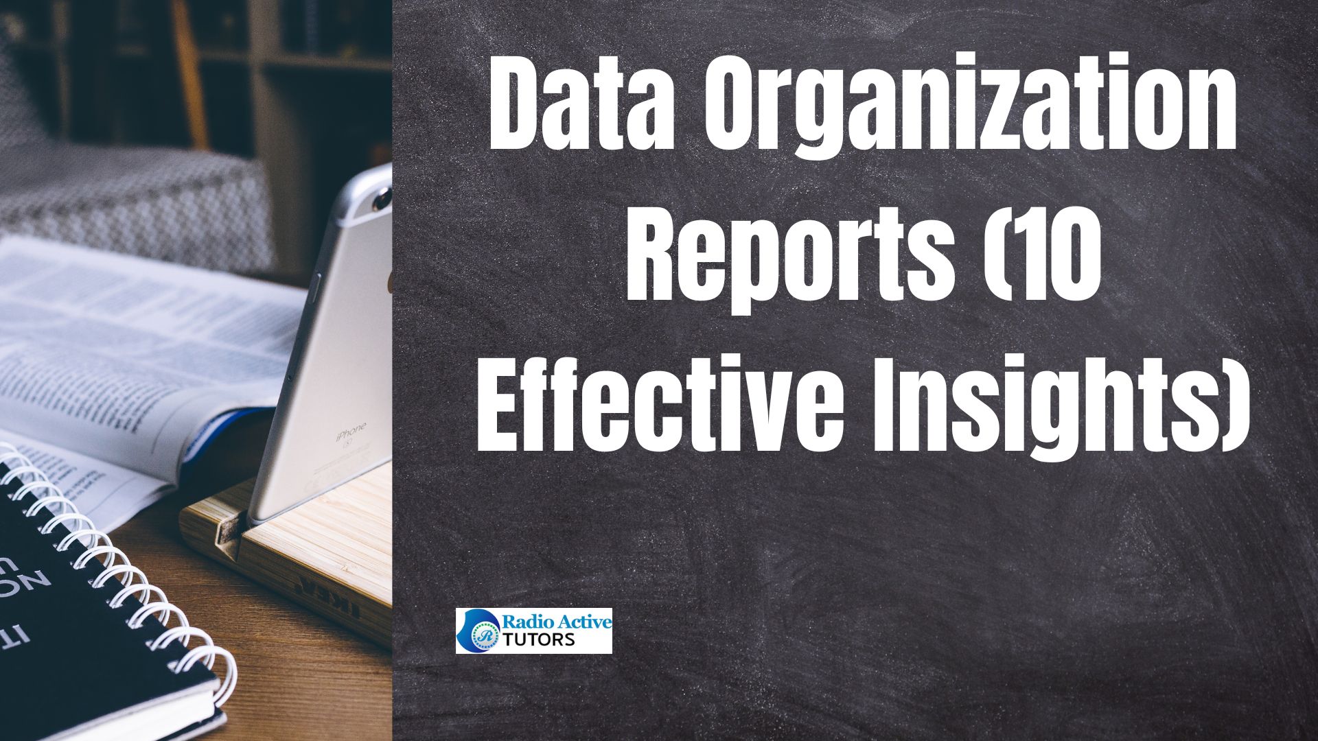 Data Organization Reports (10 Effective Insights)